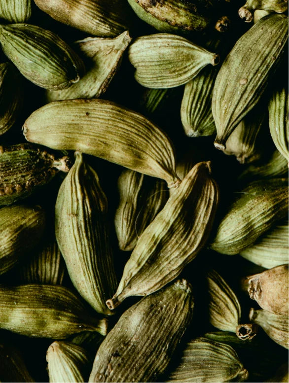 Detergente per mani e corpo, zenzero e cardamomo affumicato