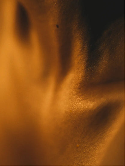 Siero corpo Silk Skin, spezie e sandalo
